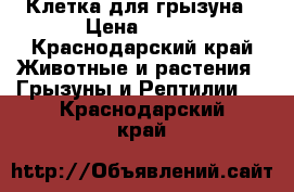 Клетка для грызуна › Цена ­ 500 - Краснодарский край Животные и растения » Грызуны и Рептилии   . Краснодарский край